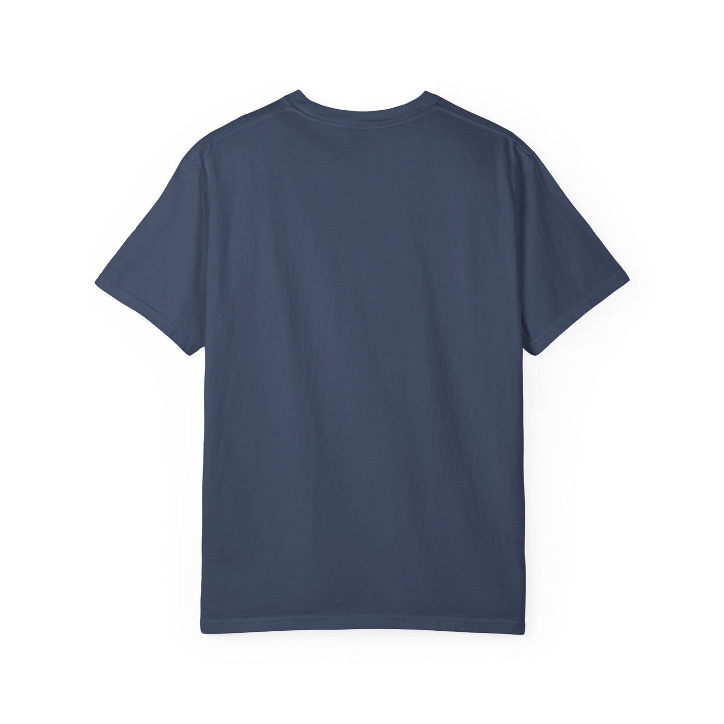 Customizable Disney Cruise Family T-Shirt — Personalized Family Vacation Tee