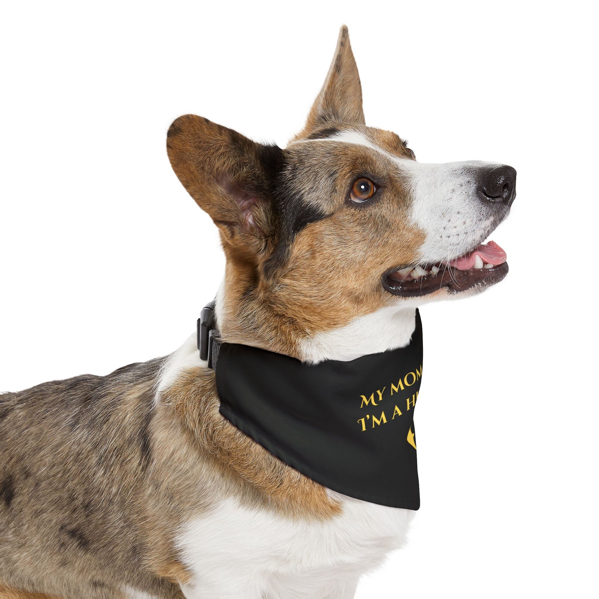 Dog wearing a black bandana with yellow text on a white background