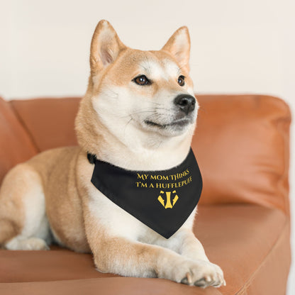 Dog wearing a black bandana with text and a logo, sitting on a brown couch.