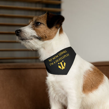 Dog wearing a collar with text and a Harry Potter-themed design.