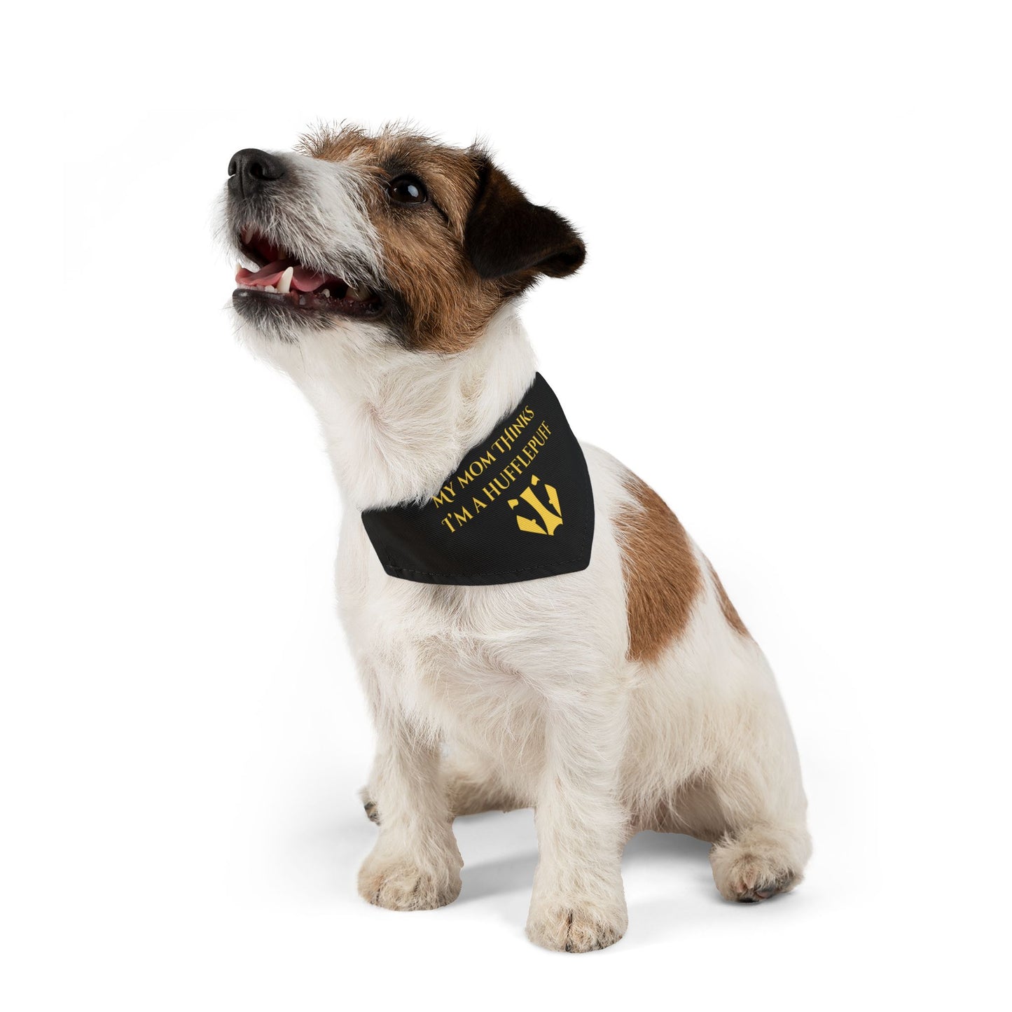 Dog wearing a black bandana with gold text on a white background